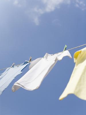 ルミネ新宿の魅力と店舗情報|最新情報と便利なサービスを徹底解説