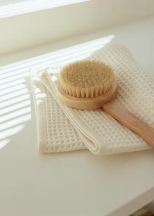 最新2025年版!福岡の庭の雑草対策完全ガイド